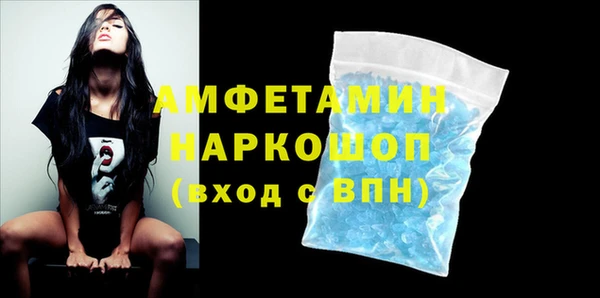 сатива Сатка