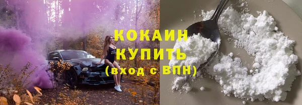 PSILOCYBIN Гусиноозёрск