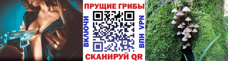 Купить  Цимлянск  Галлюциногенные грибы MAGIC MUSHROOMS 